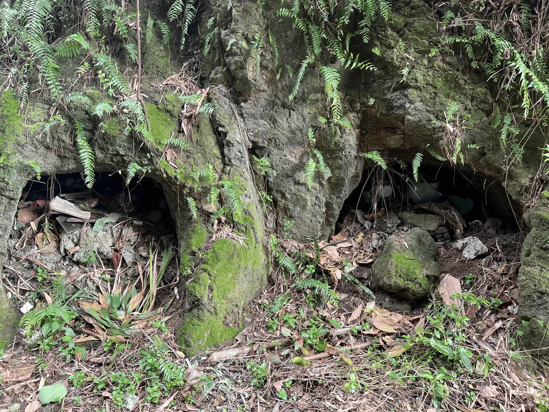 六張犁防空洞外觀