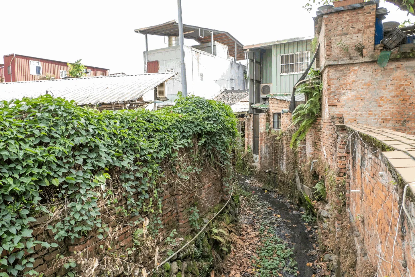 中溝開蓋處現況