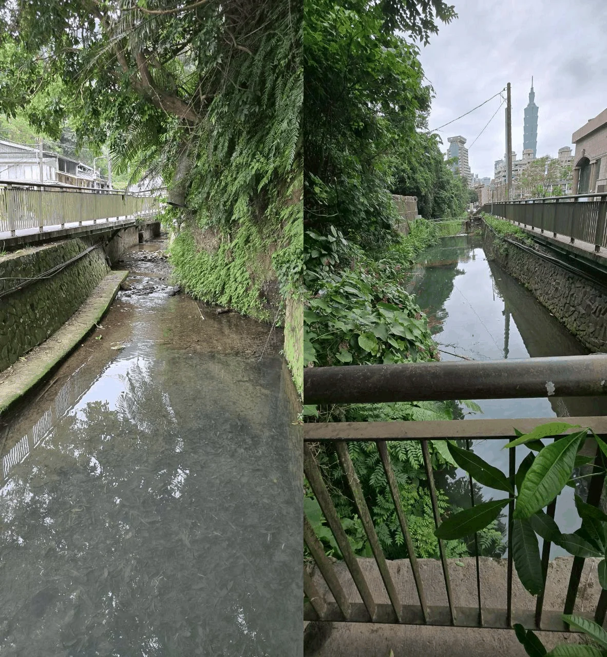 西大排水現況
