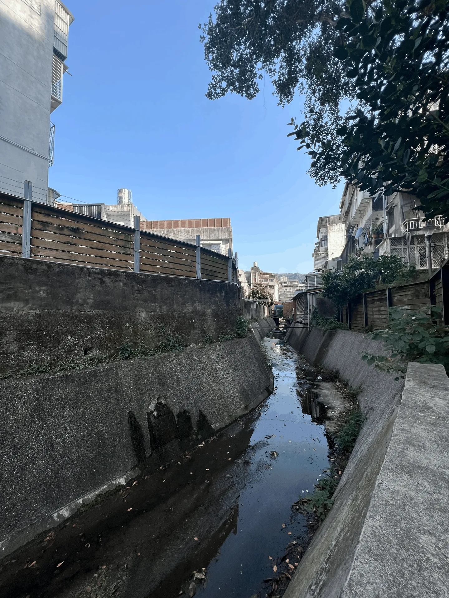 東大排（舊陂溪）現況