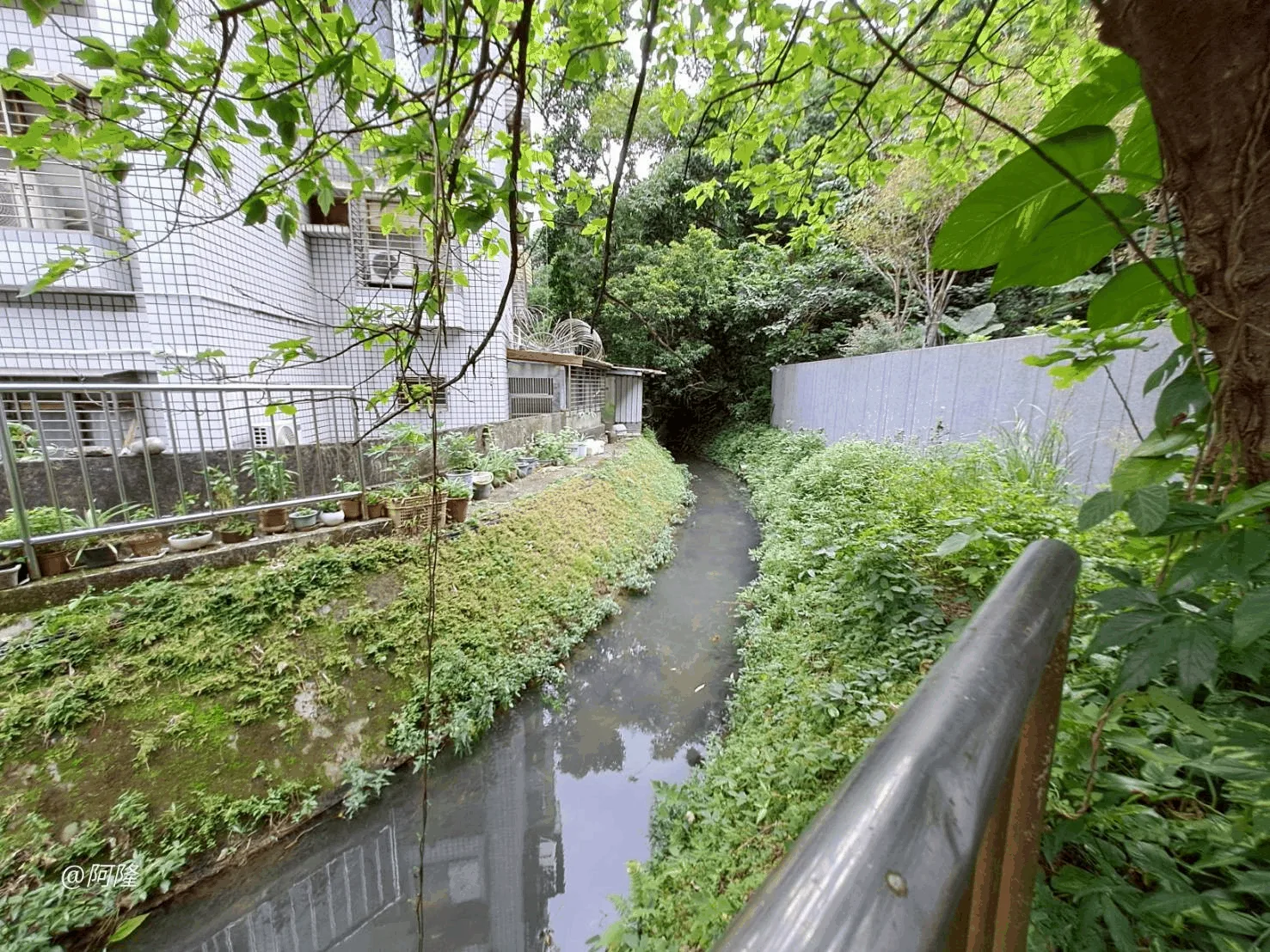 神大排（新埤溪）現況